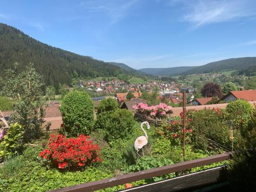 Appartement mit herrlicher Aussicht übers Murgtal Baiersbronn allemagne