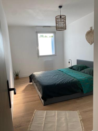 MM Greenhouse Appartement / Tourcoing - Lille