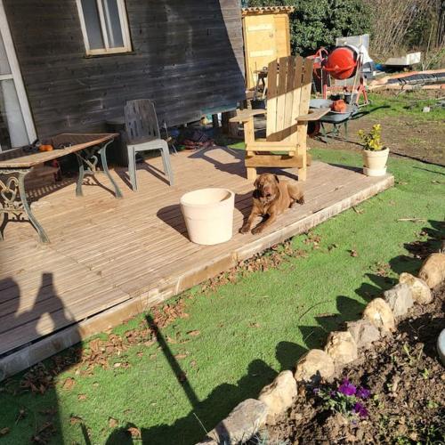 Mobilhom dans jardin en autonomie énergétique