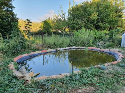 Appartement Mobilhom dans jardin en autonomie énergétique Rue de la Rigole 11700 Puicheric Languedoc-Roussillon