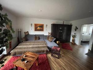 Möblierte Wohnung für Geschäftsreisen/Ferienwohnung Plauen Stadtmitte