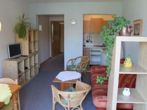 Mod Apartment in Rerik Germany with Terrace
