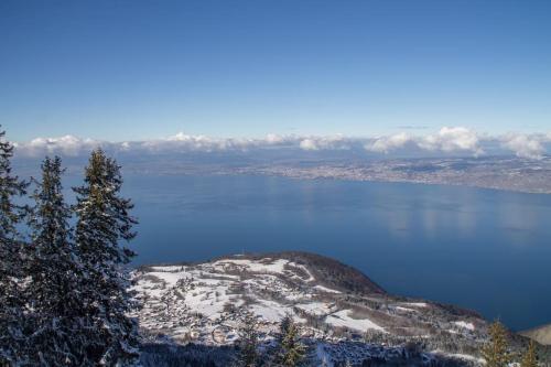 Modern 2 bedroom apartment with lake view, close to cablecar, ski slopes, restaurants and Lake Geneva