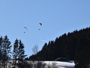 Modern Apartment by Ski Area in Elpe with Meadow View