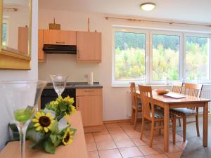 Modern apartment in a holiday resort in the centre of Willingen