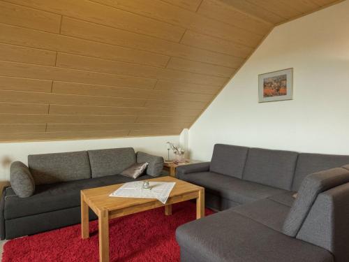 Modern Apartment in Bad Grund wit Garden
