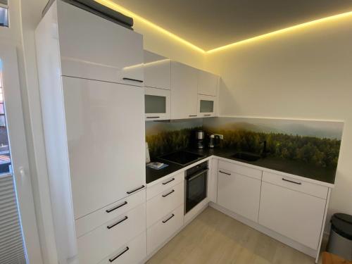 Modern apartment in Blankenburg with sauna