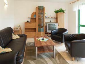 Modern Apartment in Reinhardtsdorf Sch na near Ski Slopes