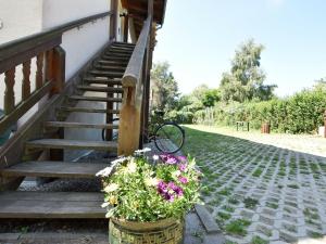 Modern Apartment in Rerik with Garden