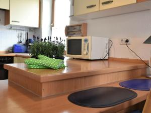 Modern Apartment in Rerik with Garden