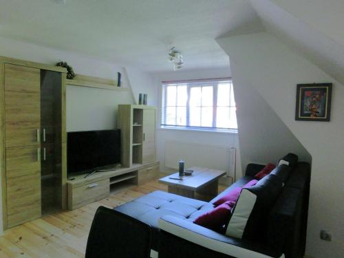 Modern apartment in the Harz with roof terrace and gorgeous view