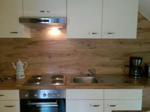 Modern apartment in the Harz with roof terrace and gorgeous view