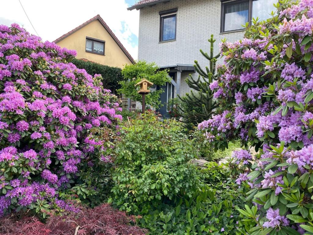 Modern Apartment in Waltershausen with Parking , 99891 Waltershausen