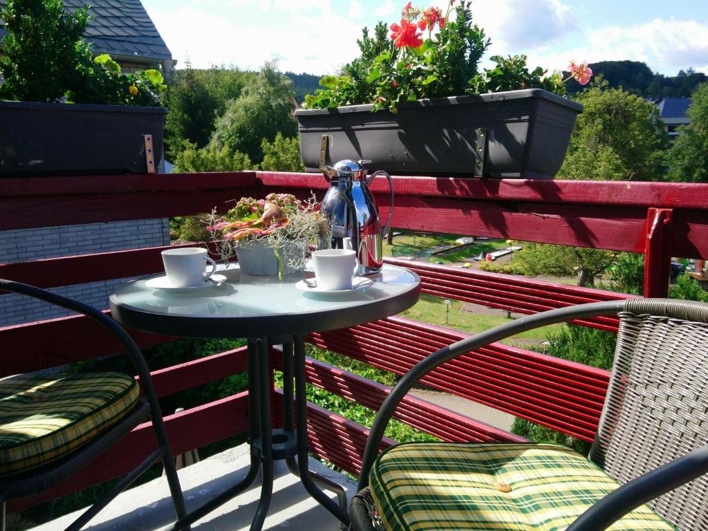 Appartement Modern apartment on the first floor near Willingen with private south west facing balcony  34508 Willingen