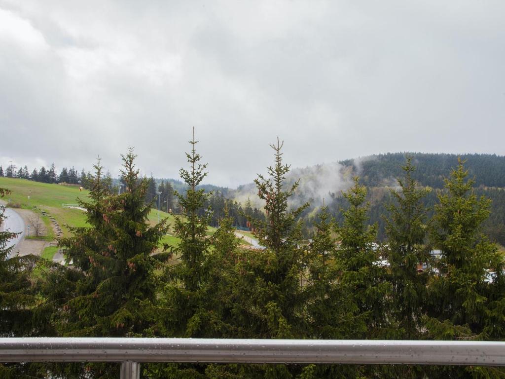 Modern flat in Winterberg with balcony and a great view of the bike park , 59955 Winterberg