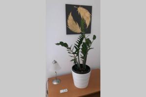 Modern möbliertes Komfortappartement