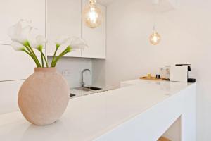 Modern Portuguese 1bed flat in Belém