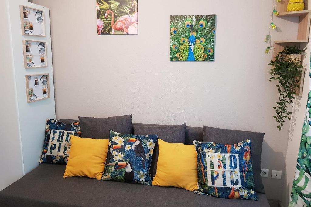 Modern Studio In The Centre Of Avignon rue de l'aigarden, 84000 Avignon