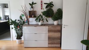 moderne 4 Zimmer -Wohnung I BBQ I Parkplatz