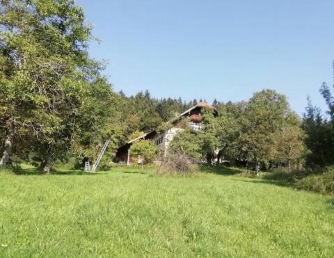 Appartement Moderne Ferienwohnung in denkmalgeschütztem Bauernhof 28 Stoißberg 83454 Anger