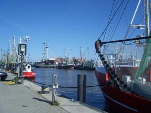 Moderne Fewo am Deich No_ 25