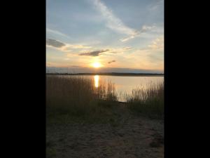 Moderne FeWo Zum Gremminer See