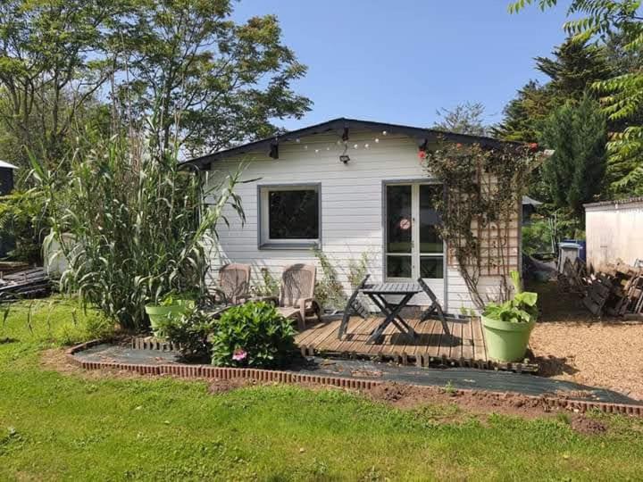 Moderne gemütliche Ferienwohnung in Friedrichshafen 88048 Friedrichshafen