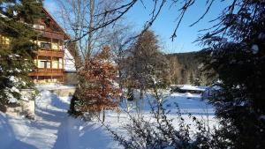 Appartement Moderne Komfortwohnung im Kurort am Rennsteig Hans-Bleckert-Straße 5 1. Etage 99894 Finsterbergen Thuringe