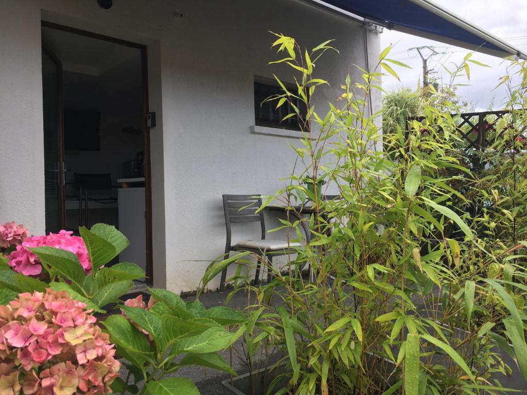 Modernes Apartement am Rhein in ruhiger Lage