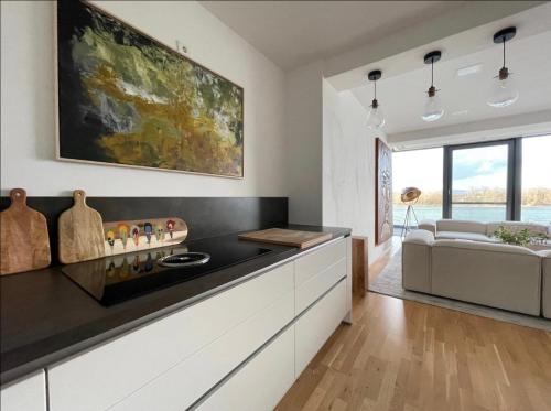 Modernes Apartment mit wunderschonem Rheinblick