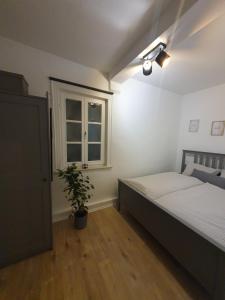 Modernes Apartment zentral
