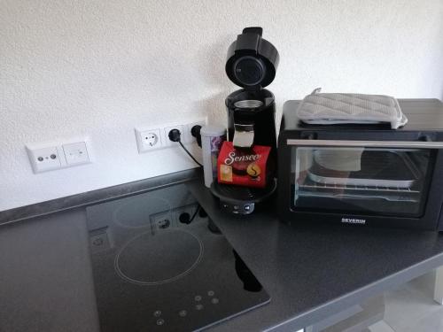 modernes Schwarzwald-Appartement 'Ahorn'