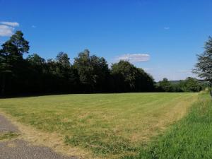 modernes Schwarzwald-Appartement 'Ahorn'