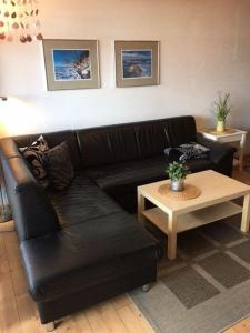 Moewennest-in-der-Residenz-am-Ryck