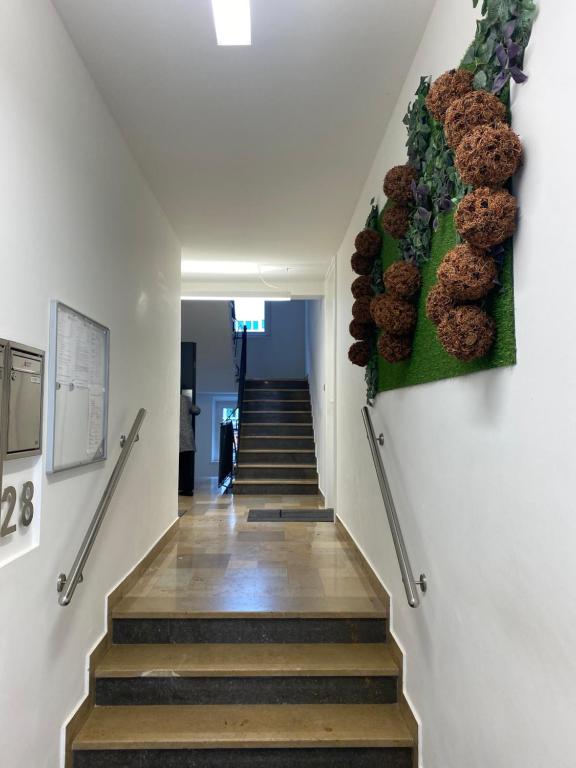 Appartement MOLL Suites -Next to Congress Hall-City Center Mollstraße 68165 Mannheim