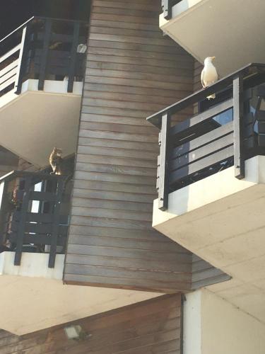 Mon balcon face à la mer - les Marinas Deauville