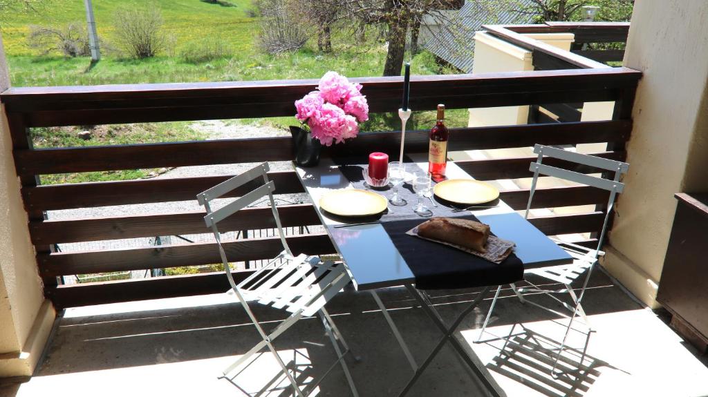 Appartement Mon Mounier : Studio cosy au pied des pistes / Vue de rêve ! Résidence du Mont Mounier Route du Bess 06470 Beuil