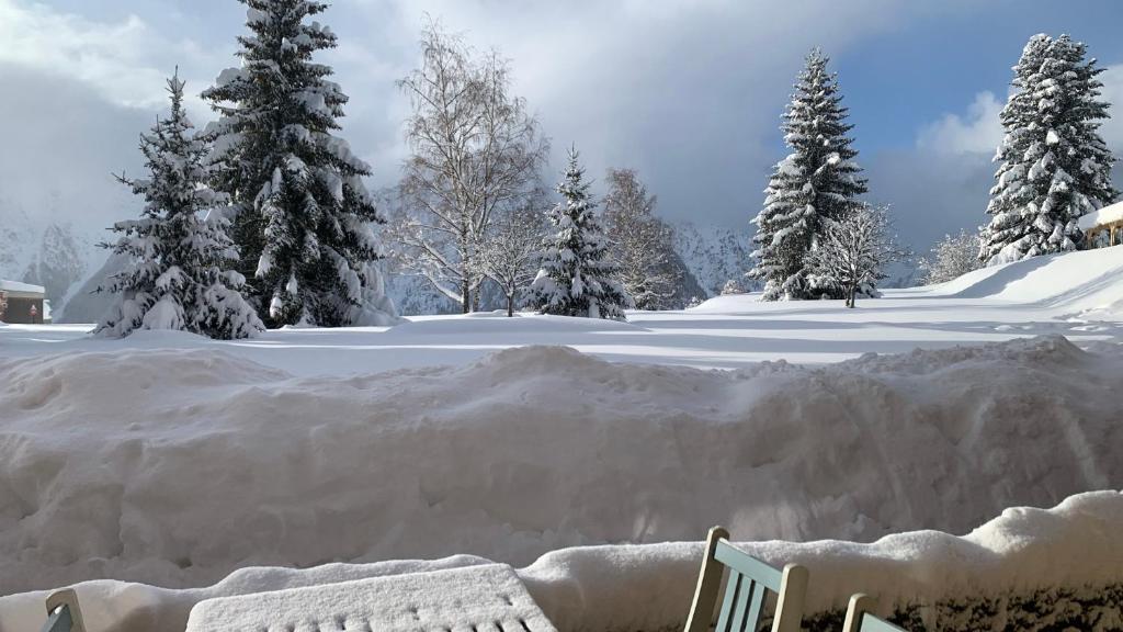 Mon nid montagnard au soleil 5 Rue Sainte-Luce, 38860 Les Deux Alpes