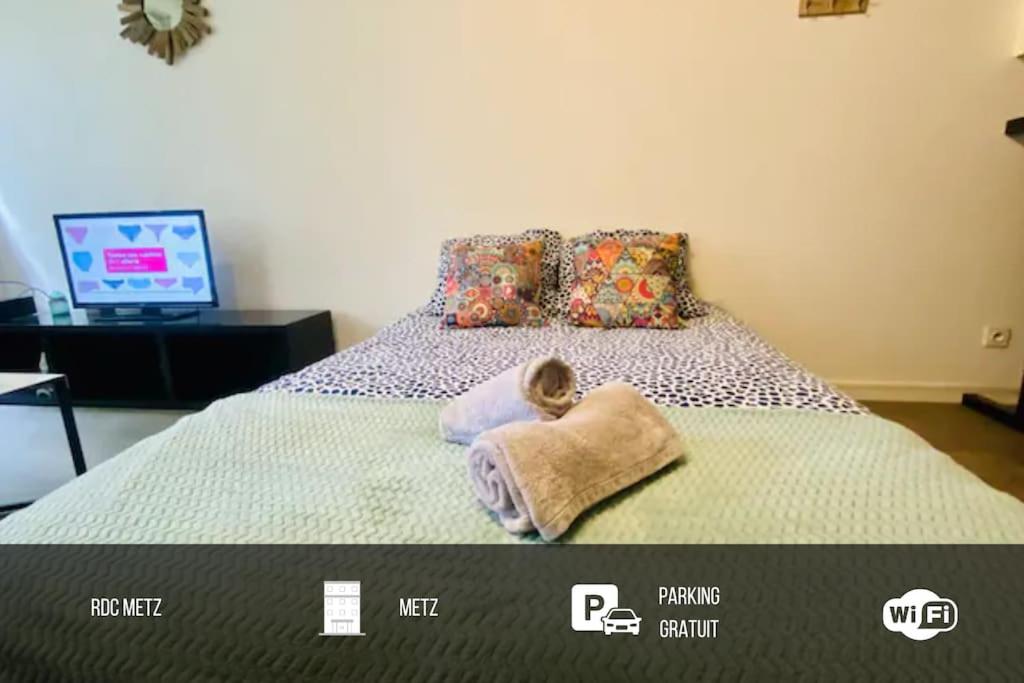 Mon Paisible Rez de chaussé Metz Wifi Parking Un-Séjour-à-Part Appartement 80, Rez de chaussé 9 C Rue Louis Hestaux, 57070 Metz