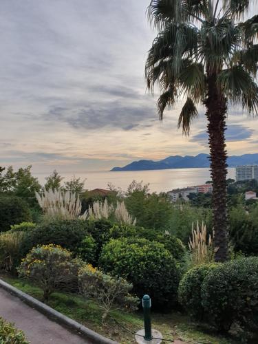 Appartement Mon paysage cannois 33 Avenue Amiral Wester Wemyss 06150 Cannes Provence-Alpes-Côte d\'Azur