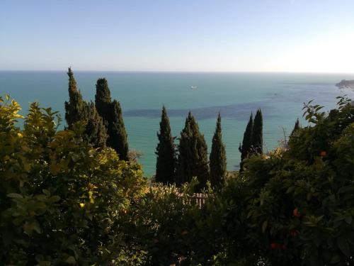 Monaco's Cottage & Spa