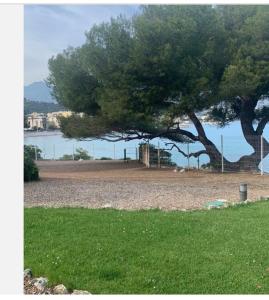 Appartement Monolocale con accesso mare Promenade du Cap-Martin 06190 Roquebrune-Cap-Martin Provence-Alpes-Côte d\'Azur