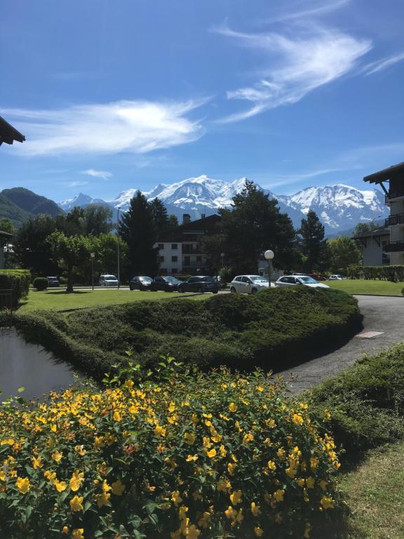 Appartement MONT BLANC HOLIDAYS chalet A, appartement A4 379 Rue Léon Curral 74700 Sallanches