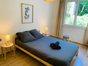 Mont D'Or Appartement