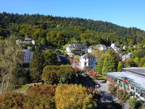 Appartement Appartement Mont-Dore, 2 pièces, 5 personnes - FR-1-608-134 PLACE DU PANTHEON Le Mont-Dore