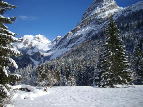 Montana 3