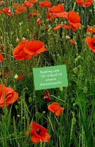 Appartement Montanregion Erzgebirge-Ihr Urlaub ist unsere Herzenssache Elterleiner Straße 08352 Langenberg Saxe