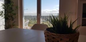 Monte Clérigo - Aljezur - Apartamento T2