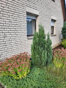 Appartement Monteur Wohnung Teutoburger Str. 27 49326 Melle Basse-Saxe