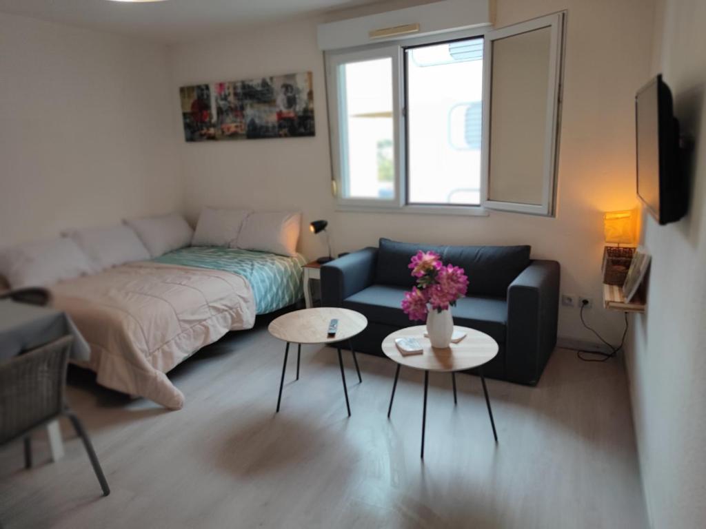 Appartement Montpellier 530 1 Rue Charles Didion 34000 Montpellier